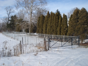 Walker Plot, View from Concession Rd. Walker1