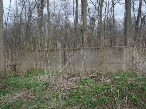 Surrounding Cement Wall McKellar2