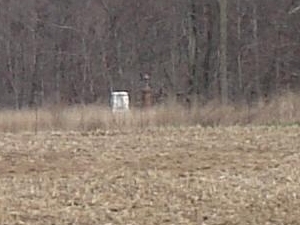 McRae Plot across the field McRae2