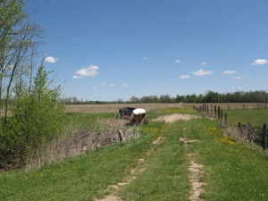 The Field Where The Road Went Phillips2